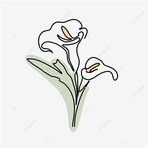 Calla Lily Flower Clipart Transparent Png Hd Calla Lilies Flowers