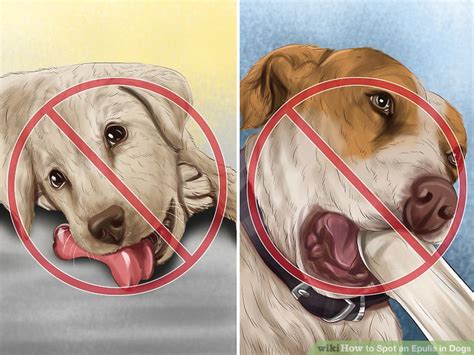How To Spot An Epulis Gum Tumor In Dogs Wikihow