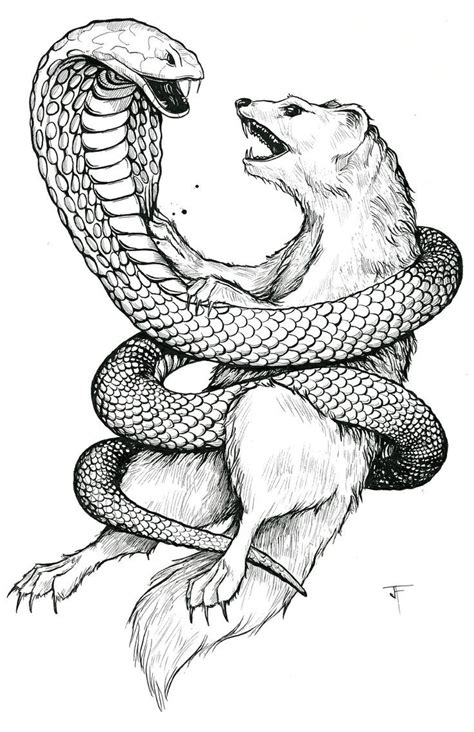 Cobra Art Snake Drawing Badger Tattoo