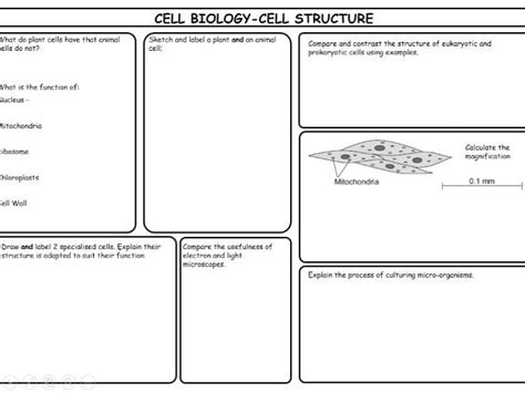New Gcse Biology Aqa 41 Cell Biology Revision Mats Teaching Resources