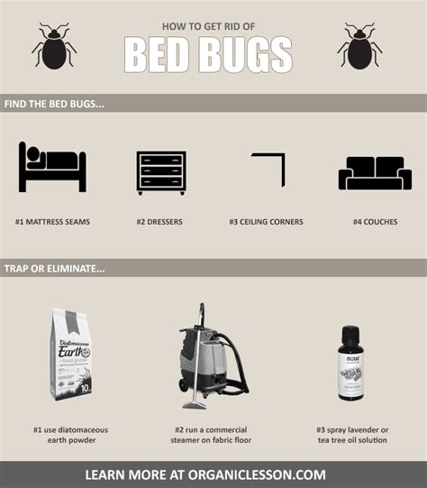 How To Get Rid Of Bed Bugs Fast Using Home Remedies In 2021 Rid Of