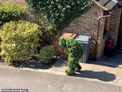 Bizarre Moment Couple Spot Their Neighbours Ingenious Attempt To Head Outside Unnoticed During