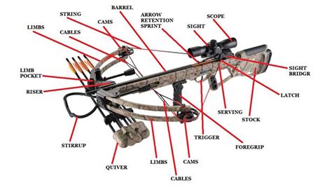 Best Crossbow For Deer Hunting All Types Budgets And Brands