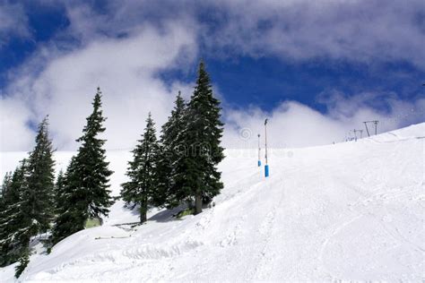 Snowy Slopes Stock Image Image Of Alpine Skiing Enjoyment 7493319