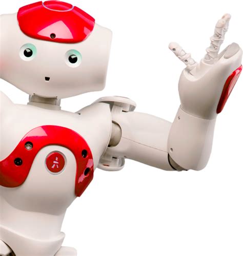 Robot Zoekt Rosa Door Katja Van Nus Voordekunst