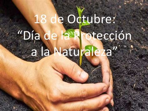 (pulsa en mostrar más para ver los links). Día Mundial de la Protección de la Naturaleza