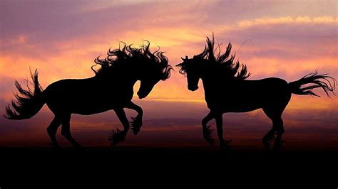 52 Horses At Sunset Wallpapers