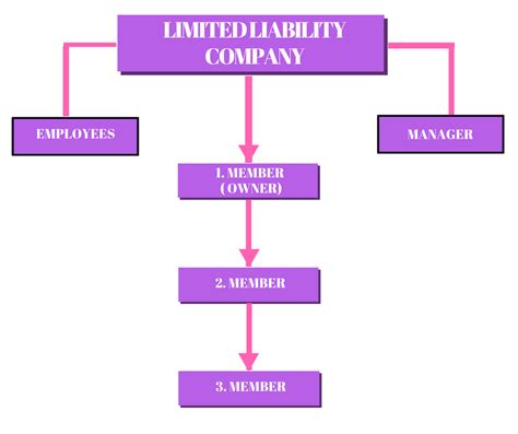 Limited Liability Company Why Choose An Llc As Your Business Type For