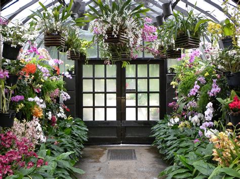 Orchid room at Longwood Gardens | Tropical greenhouses, Orchid house