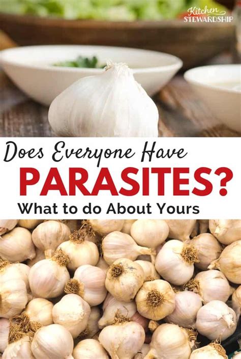 Diy Parasite Cleanse Recipe Bryont Blog