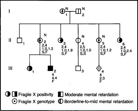Prenatal Diagnosis Of Fragile X Syndrome By Direct Detection Of The