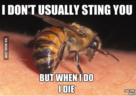 Scumbag Bee 9gag
