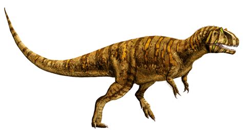 Metriacanthosaurus Wikia Jurassic Park Fandom