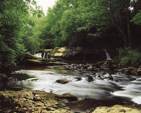Clare River Clare Glens Co Tipperary Photograph By The Irish Image