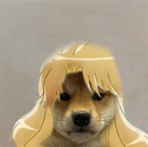 Dog With Hat Jojo Erina Jojo Bizzare Adventure Jojo Memes Jojo Anime