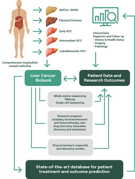 Liver Cancer Collaborative