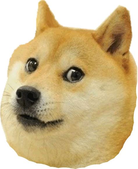 Doge Meme Much Wow Dog Funny Shiba Inu Meme