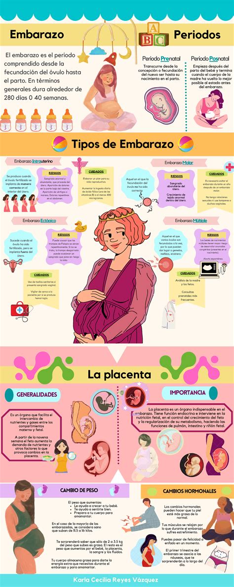 Infografía Sobre El Embarazo Tipos De Embarazo La Placenta Y Los