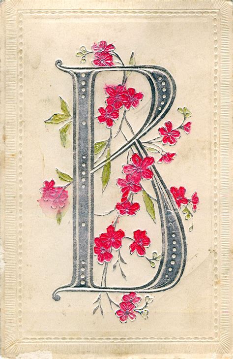 A Vintage Cottage Home: B is for BEAUTIFUL BLOSSOMING B! | Illuminated