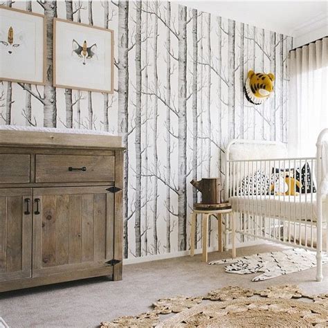 Sophisticated Rustic Woodland Nursery Baby Boy Room Nursery