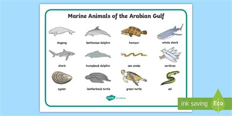 Marine Animals Of The Arabian Gulf Word Mat Teacher Made