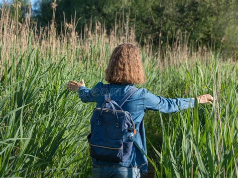 Path Through Tall Grass And Flowers Stock Image Image Of Field Blue