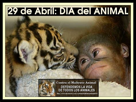 29 De Abril Dia Del Animal Blog Contra El Maltrato Animal
