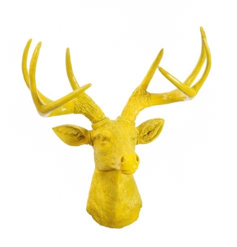 More Than Just House Accents Resin Deer Heads Wonderful Clancy Resin