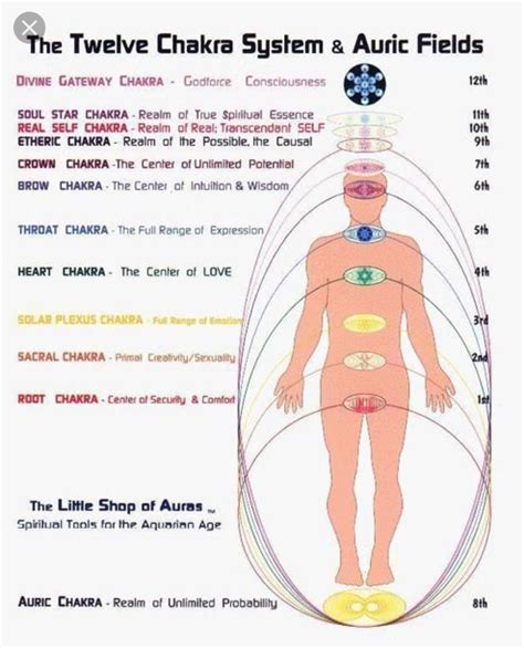 12 chakra system and auric fields chakra system energy healing reiki energy healing