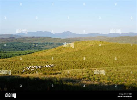 Upland Moorland Hi Res Stock Photography And Images Alamy