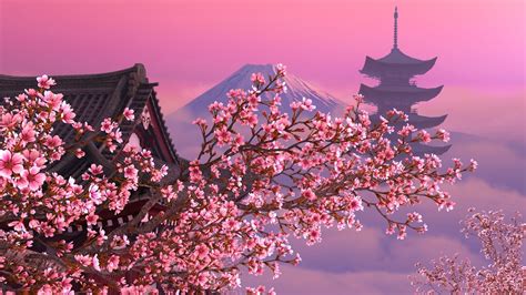 Sakura Tree Background Sakura Tree Background Loop Stock Animation