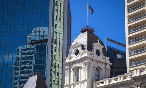 The 10 Best Auckland Shore Excursions for New Zealand/Australia Cruises