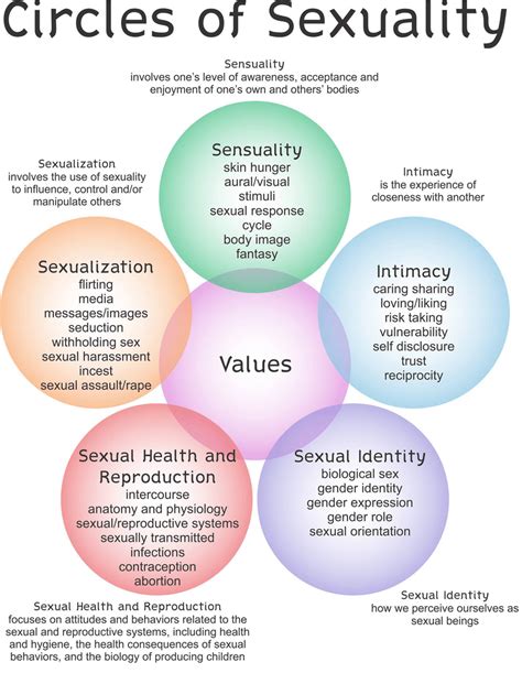 Circles Of Sexuality Image Provided By The Unitarian Universalist
