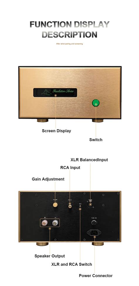 Brzhifi Fm Mk New Amplifier High Power Post Clone Swiss Fm