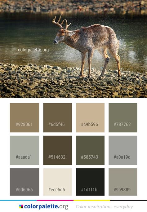 Wildlife Deer Fauna Color Palette Цветовые сочетания Сочетание