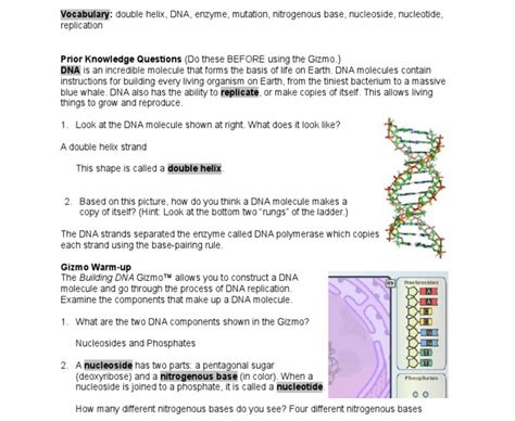 Since you have landed on our site then most probably you are looking for the solution of gizmos crossword clue. Student Exploration Building Dna Gizmo Answer Key Pdf / Student Exploration Building Dna Fill ...