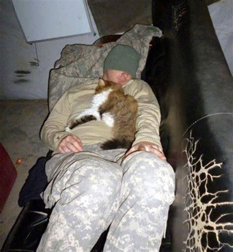 Soldiers Spend A Little Time Cuddling With Cats 31 Pics