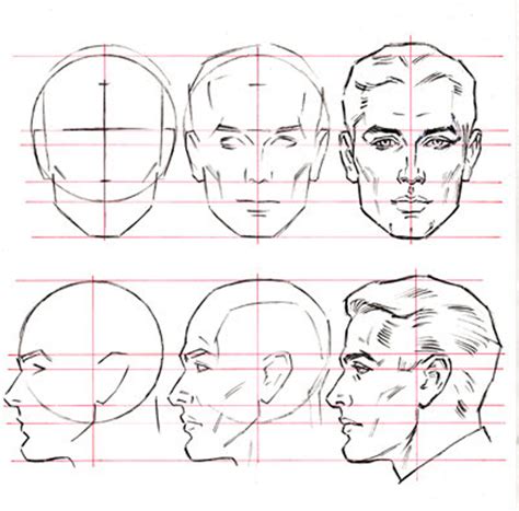Male Head Face Proportions Human Figure Drawing Anatomy Drawing