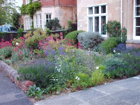 Browse our wide selection of beautiful accent trees, flowering shrubs, perennials & more. Oxford Omnibus: The Front Garden