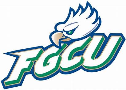 Florida Eagles Gulf Coast Logos Primary Sports