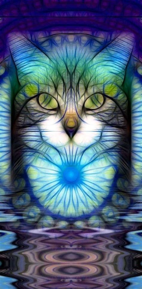 Trippy Cat Facebook Covers