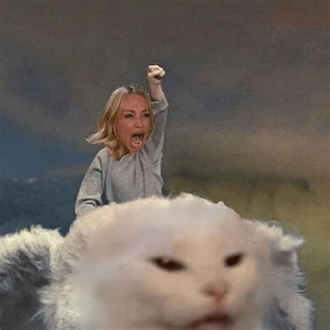 White Cat Screaming Meme Werohmedia