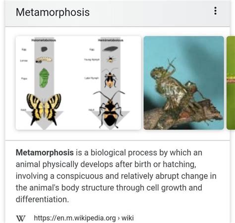 Defined Metamorphosis