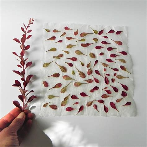 Handmade Nature Paper Leaf Texture Paper Botanical Gift Wrap Etsy