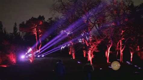 Illumination Tree Lights At The Morton Arboretum Abc7 Chicago