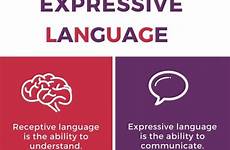 expressive receptive therapy disorder infographic disorders pediaa writing receptivo lenguaje expresivo cooing displaying hears diferencia
