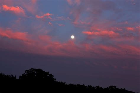Full Moon At Sunset Free Stock Photo Public Domain Pictures