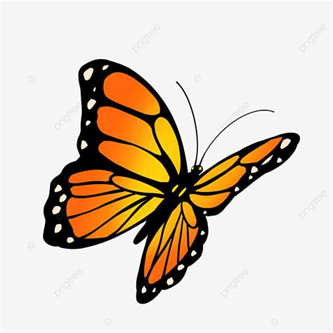 Blue Monarch Butterfly Clipart Transparent Png Hd Cartoon Style Orange
