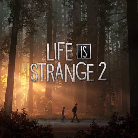 Top 26 Life Is Strange 2 Mới Nhất Nông Trại Vui Vẻ Shop