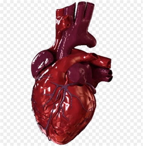 Bloody Heart Png 20 Free Cliparts Download Images On Clipground 2023